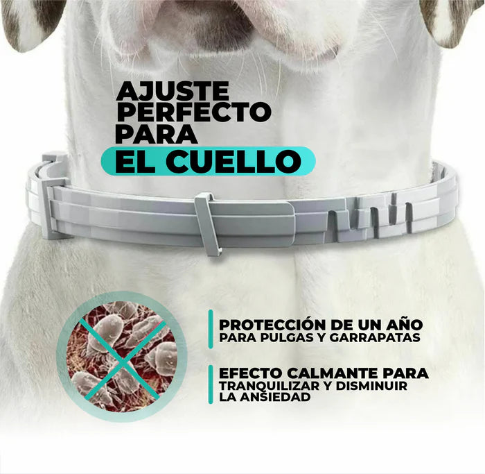 Collar para Mascotas AntiParasitario